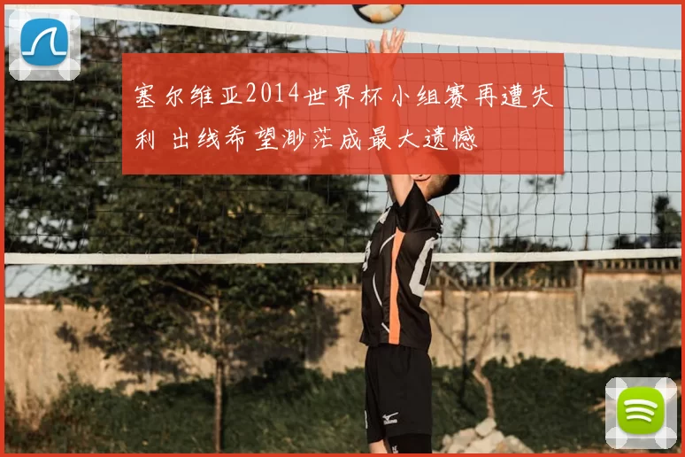 塞尔维亚2014世界杯小组赛再遭失利 出线希望渺茫成最大遗憾