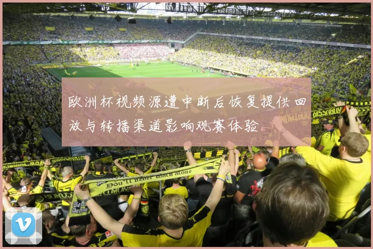 欧洲杯视频源遭中断后恢复提供回放与转播渠道影响观赛体验
